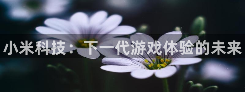 欧博娱乐下载：小米科技：下一代游戏体验的未来