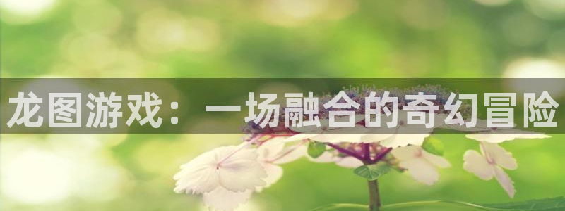 欧博娱乐平台登录：龙图游戏：一场融合的奇幻冒险