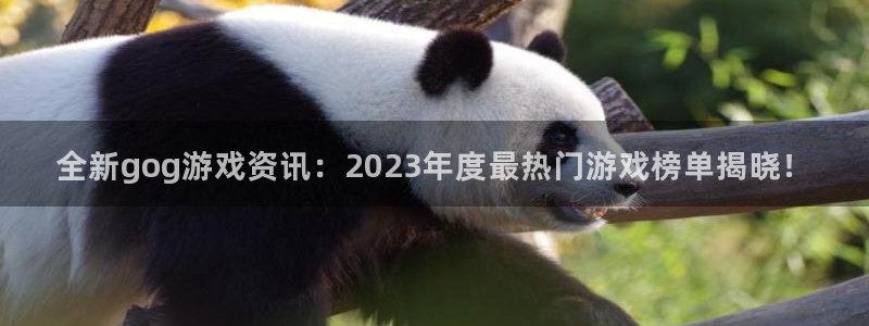 欧博娱乐网页登录入口官网：全新gog游戏资讯：2023年度最