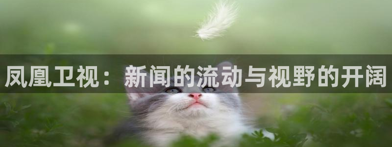 劲爆体育在线直播免费观看：凤凰卫视：新闻的流动与视野的开阔