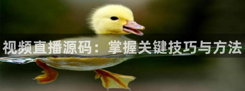 劲爆体育在线直播nba：视频直播源码：掌握关键技巧与方法