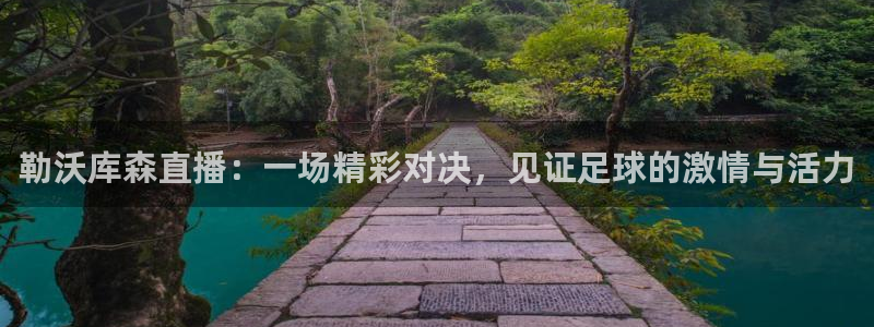 劲爆体育直播免费观看完整版：勒沃库森直播：一场精彩对决，见证足球的激情与活力