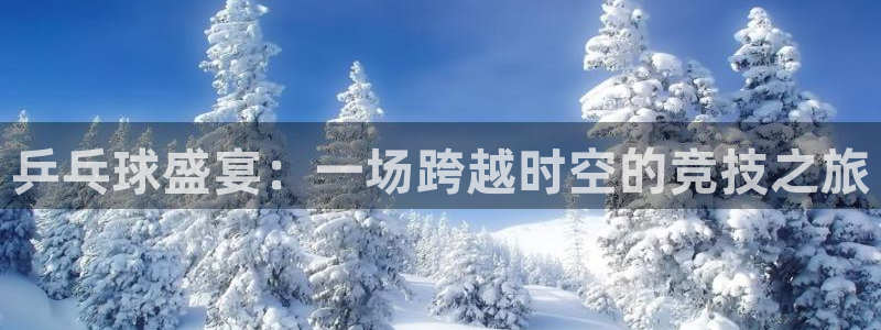 劲爆体育免费观看：乒乓球盛宴：一场跨越时空的竞技之旅