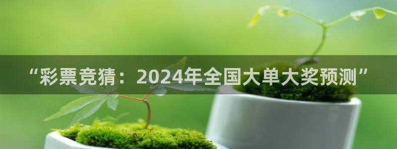 劲爆体育直播在线观看高清：“彩票竞猜：2024年全国大单大奖预测”
